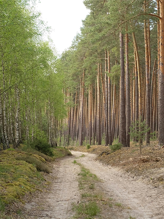 de Beekdalhoeve, Restaurant, Renkum, Beekdal